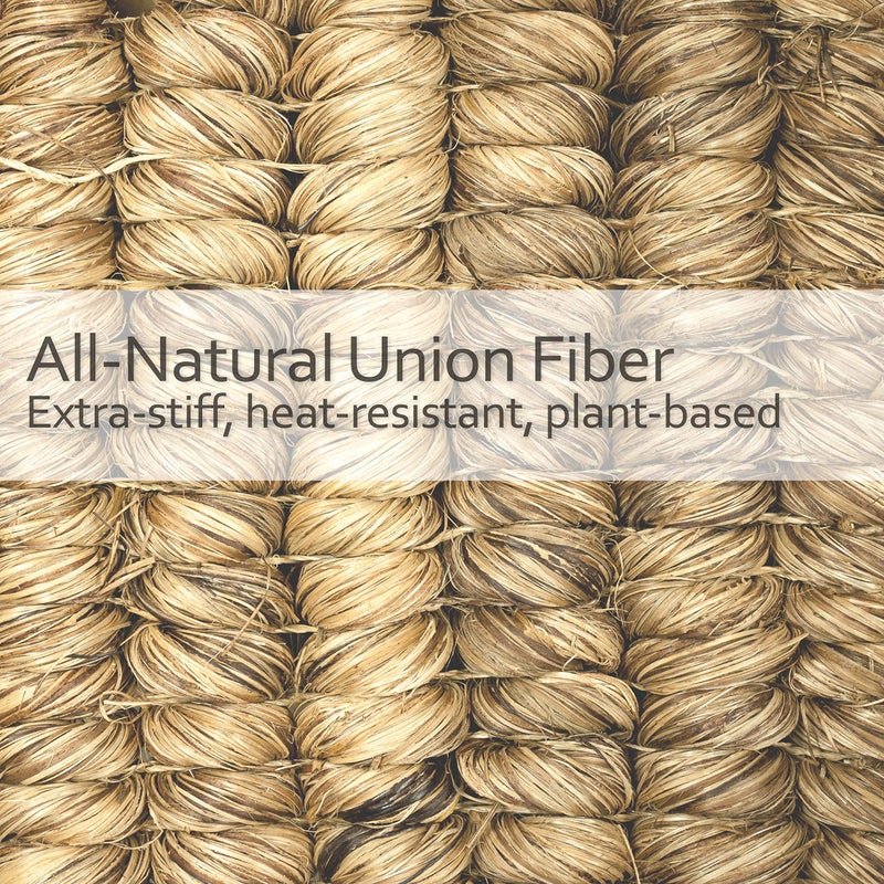 REDECKER فرشاة مرحاض من ألياف ريدكر مع مقبض خشب الزان غير المعالج - شعيرات صلبة طبيعية، 15 بوصة - فرشاة مرحاض بشعيرات صلبة - فرشاة تنظيف الحمام بشعيرات طبيعية، مصنوعة في ألمانيا - Image 3